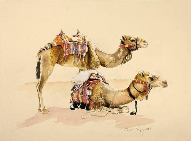 Camels from Petra Alison Cooper