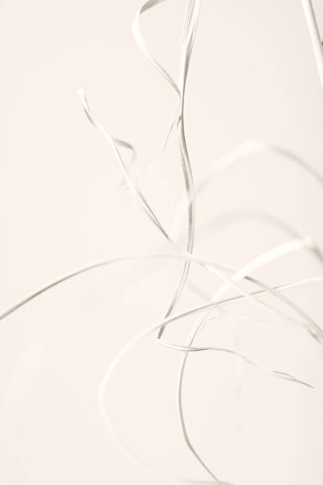 Dried Grass Light Beige 02 1x Studio III