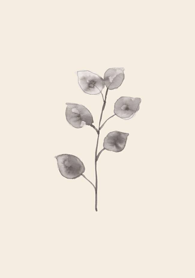 Eucalyptus Twig 1x Studio