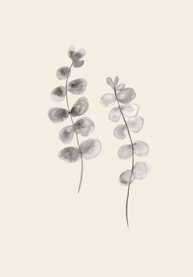 Eucalyptus Twigs 1x Studio
