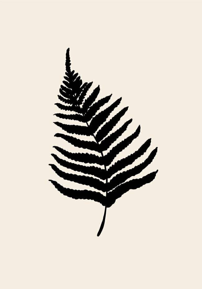 Fern 1x Studio