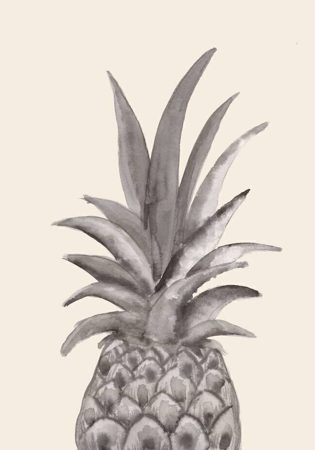 Ink Pineapple 1x Studio