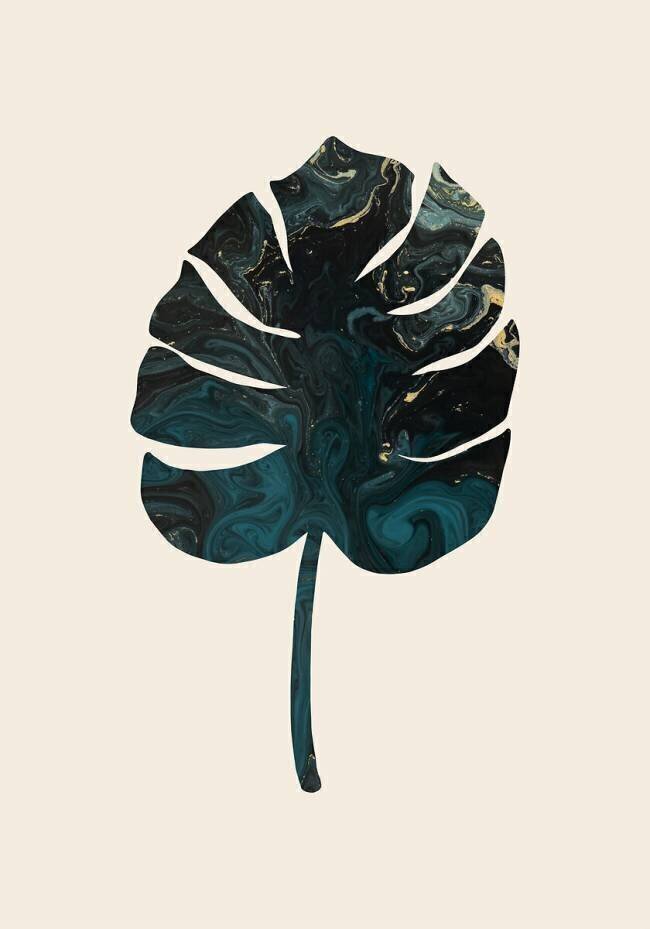 Monstera 1x Studio