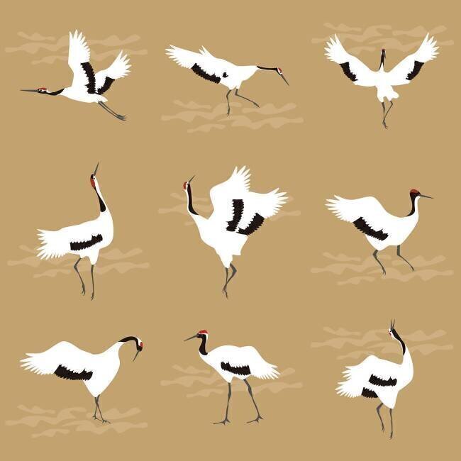 Oriental Cranes Claire Huntley