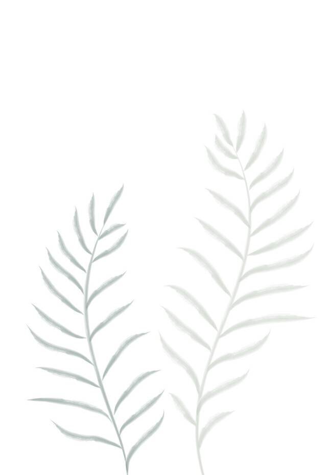 Pale Plants 1x Studio II