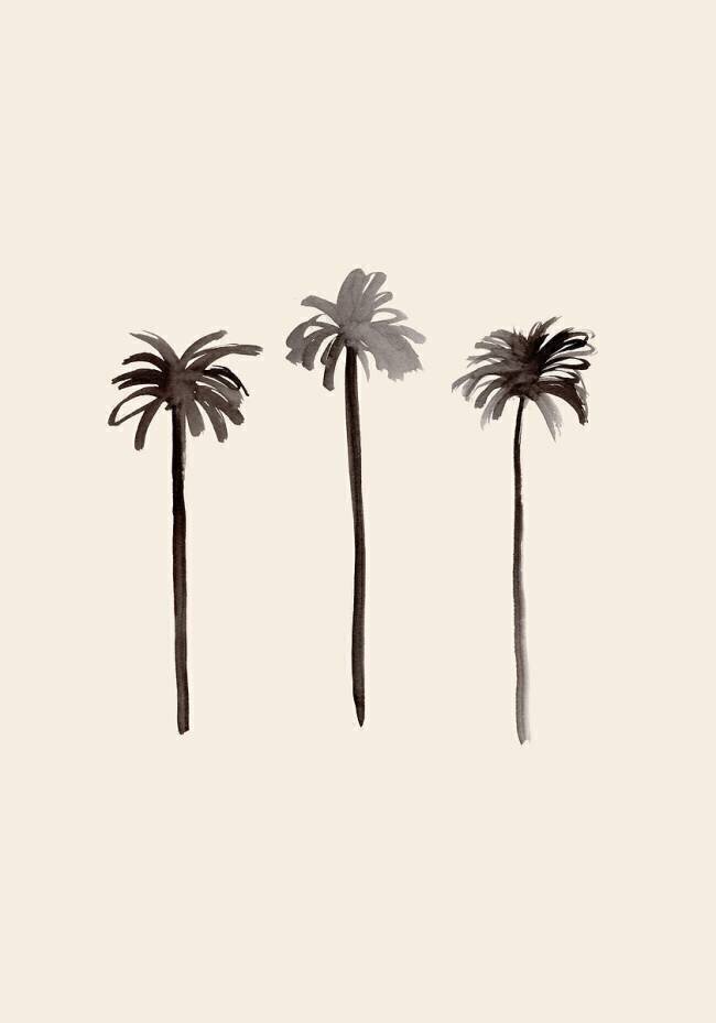 Palm Trees Ink 1x Studio