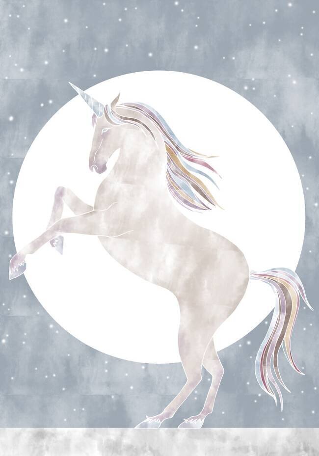 Rising Unicorn 1x Studio II