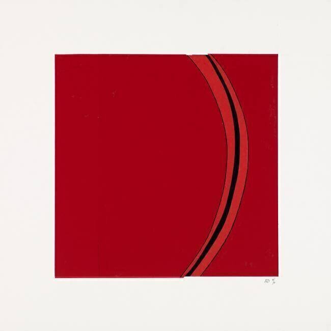 Segment Alex Dunn