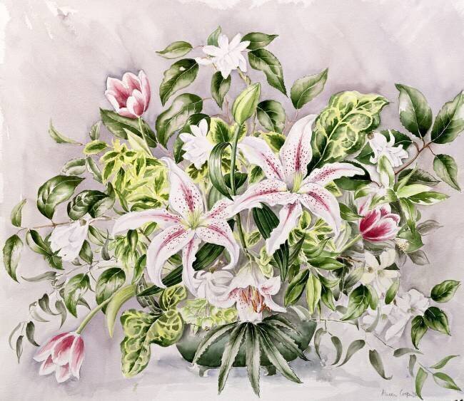 Still life with Lilies Alison Cooper