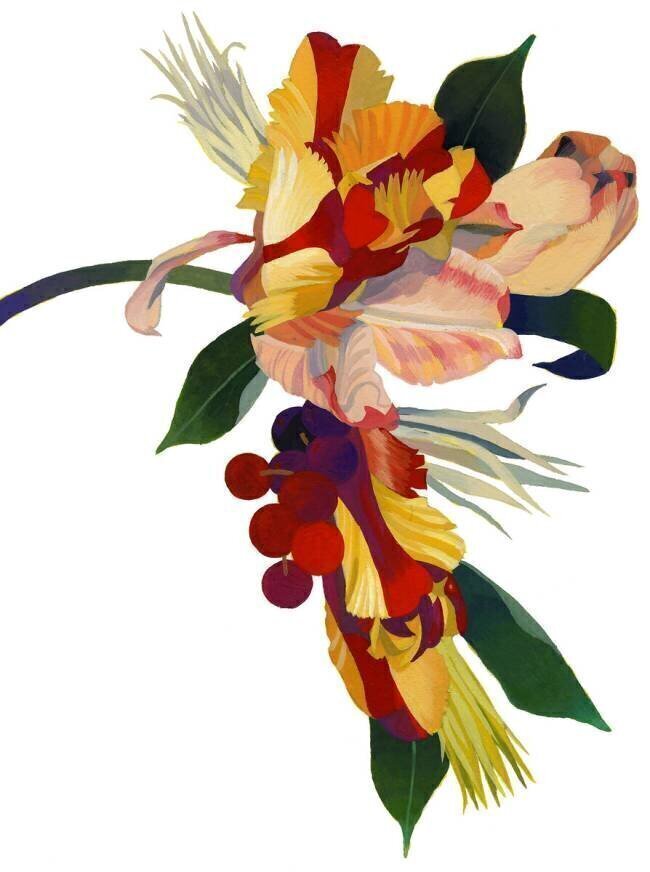 Tulip parrot1 Hiroyuki Izutsu