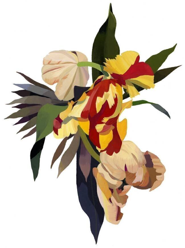 Tulip parrot 3 Hiroyuki Izutsu
