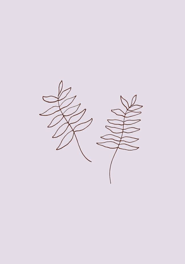 Two Twigs 1x Studio