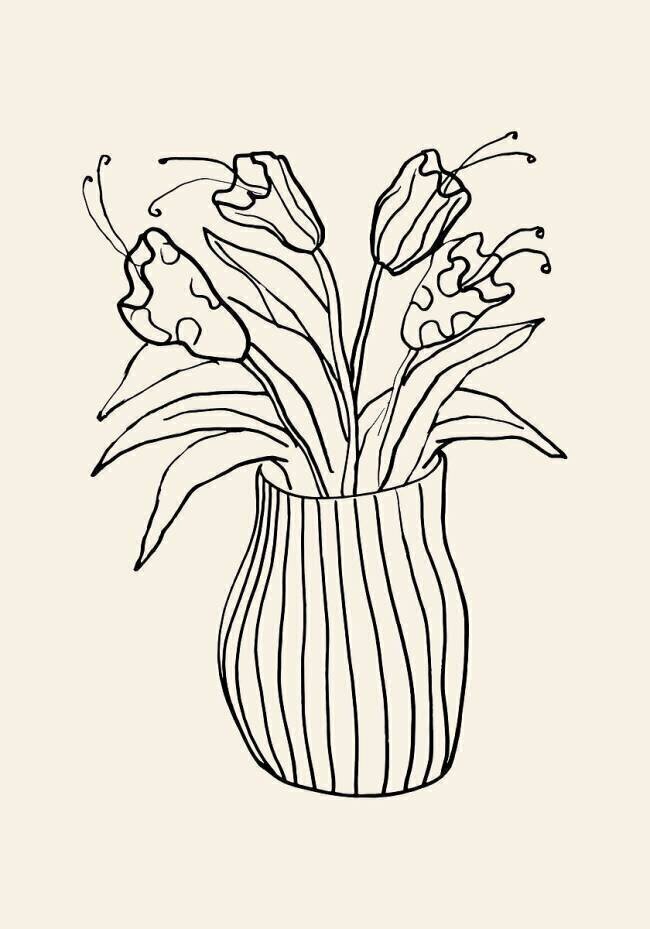 Vase Sketch 1x Studio