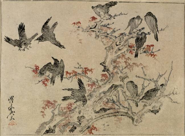 Birds in maple Branches  Kawanabe Kyosai