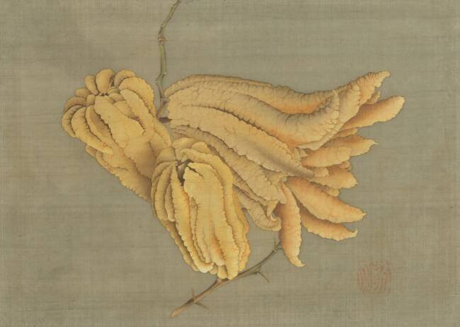 Buddha’s Hand Citron Hokusai
