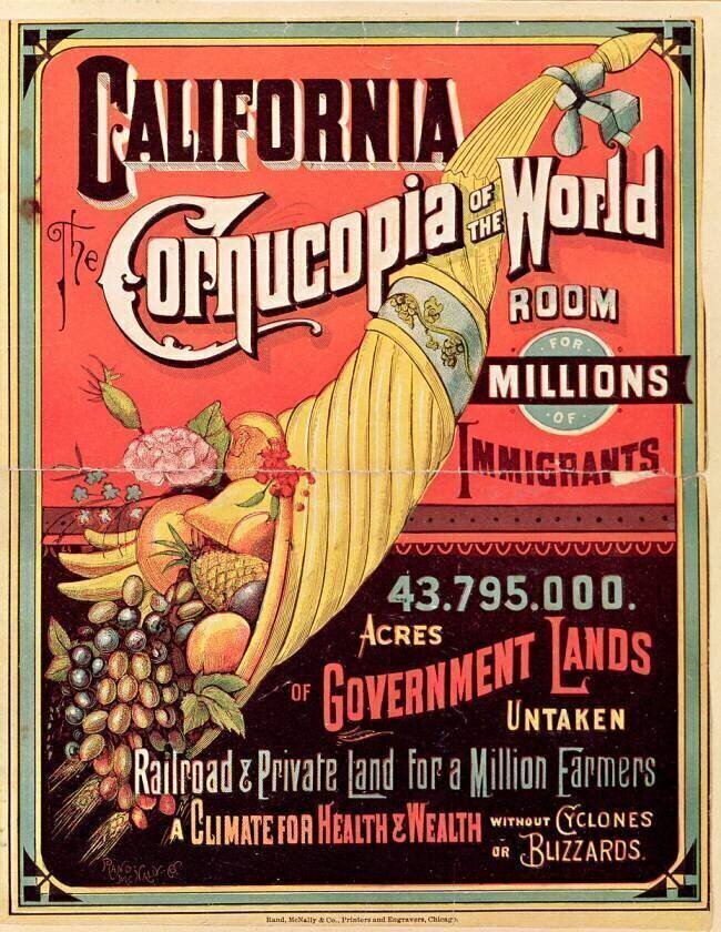 California American School