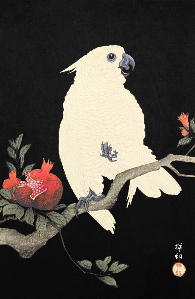 Cockatoo and pomegranate Ohara Koson