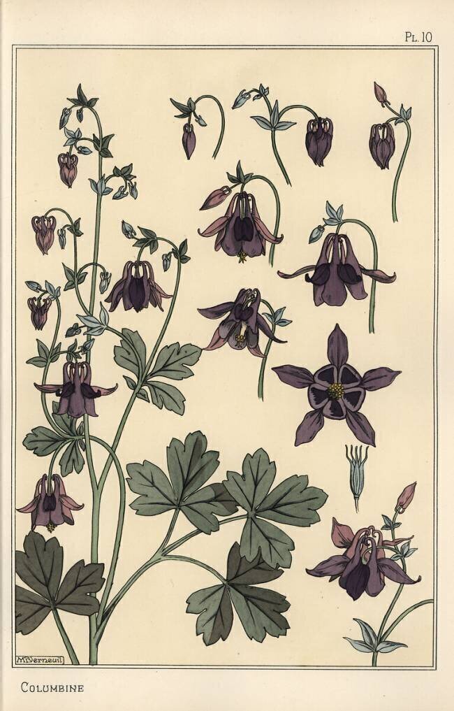 Columbine Eugène Grasset