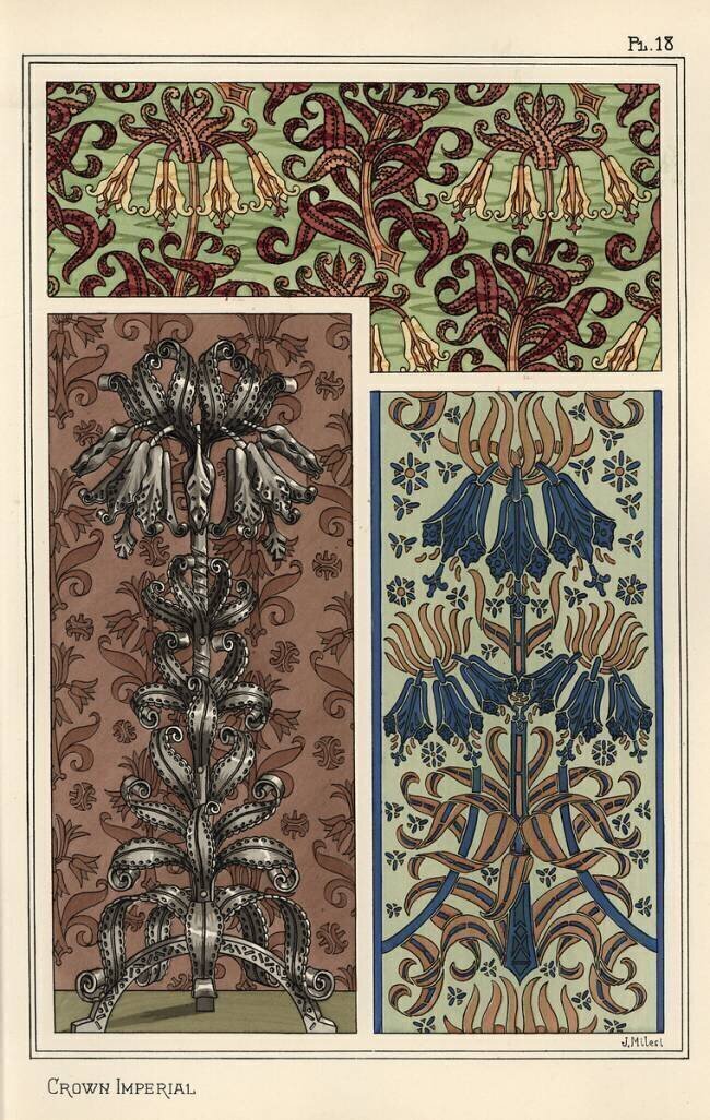 Crown imperial Eugène Grasset
