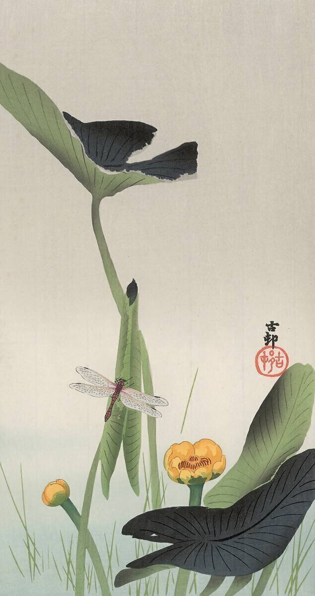Dragonfly and Lotus Ohara Koson