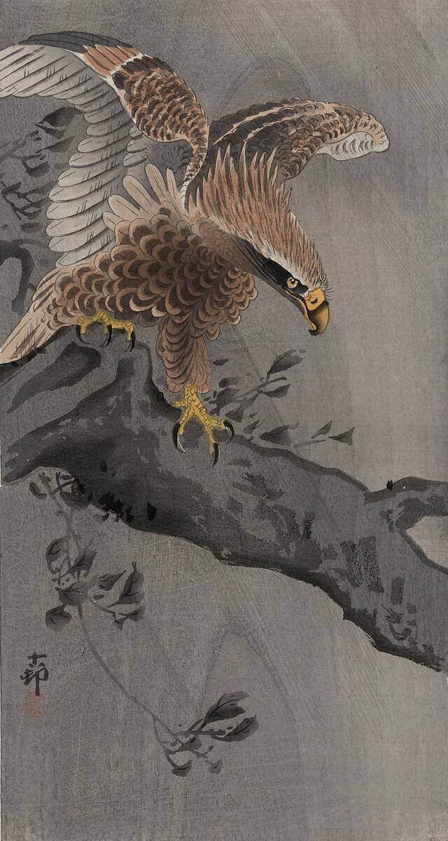 Eagle with Spread Wings on Tree Trunk Ohara Koson
