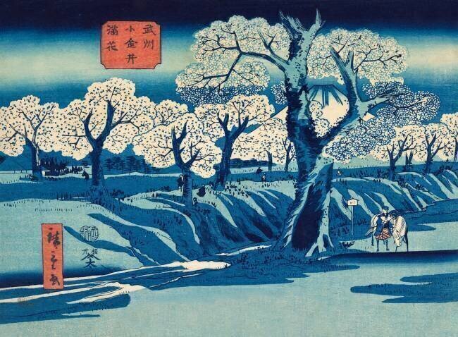 Flowering in Koganei Hiroshige