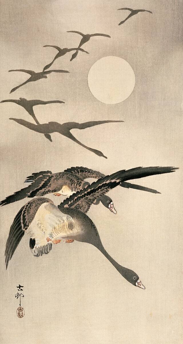 Flying Geese and Full Moon Ohara Koson