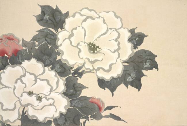 Fukami-Gusa Kamisaka Sekka