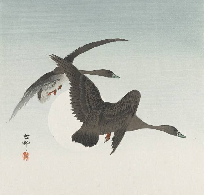 Geese in Flight Ohara Koson