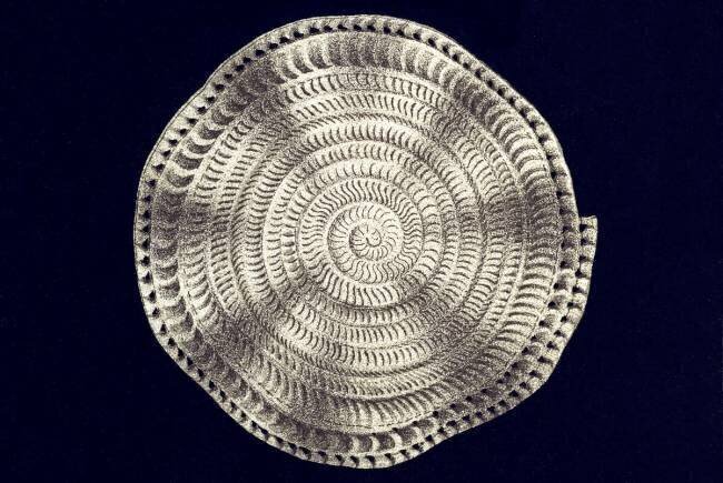 Globigerina bulloides Ernst Haeckel