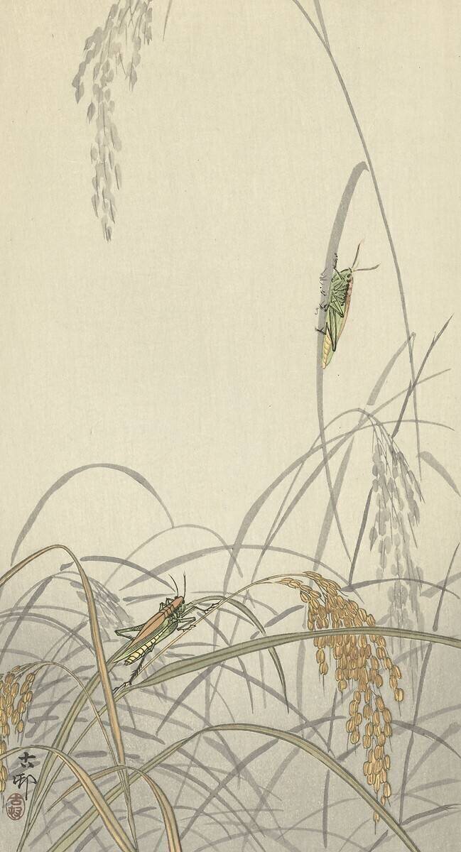 Grasshoppers on rice plants Ohara Koson