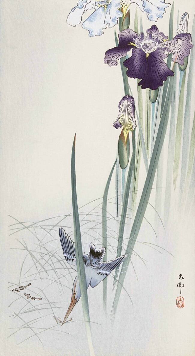Kingfisher and Irises Ohara Koson