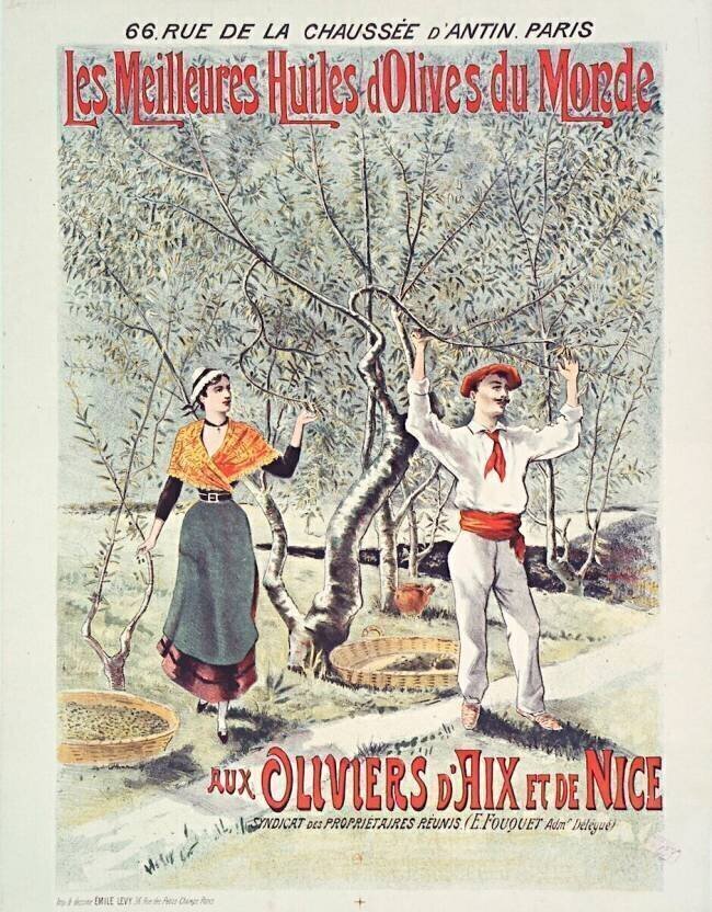 Les Meilleures huiles d'olives du monde. anonymous