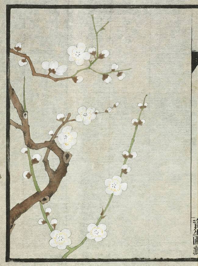 Meika jûyû Shiseiho