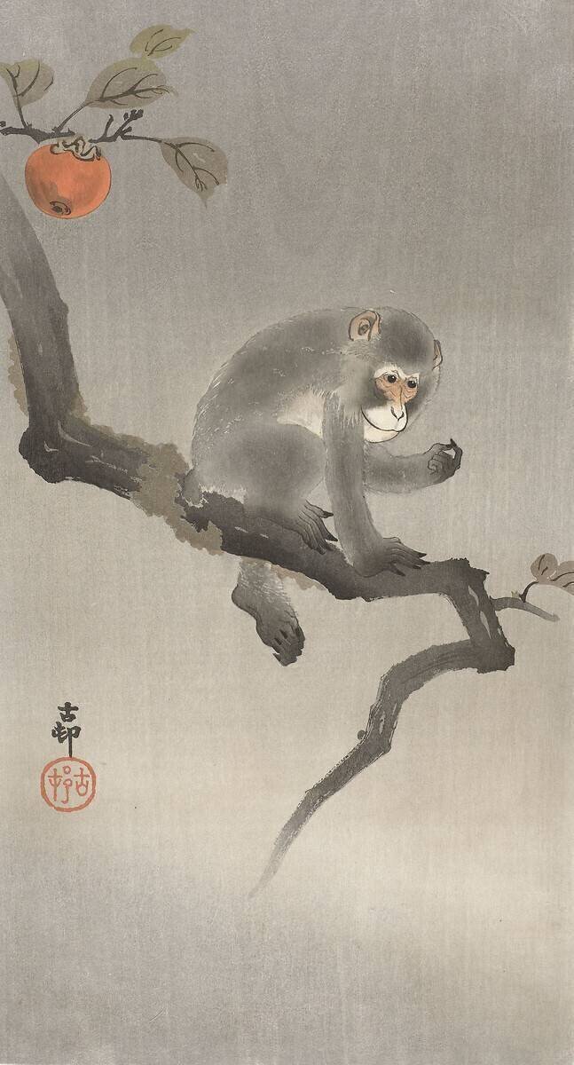 Monkey in a fruit tree Ohara Koson