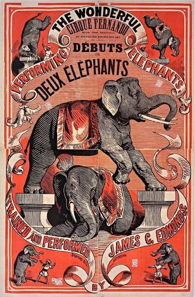 Performing the wonderful elephants trained and performed by James C. Edmonds. anonymous