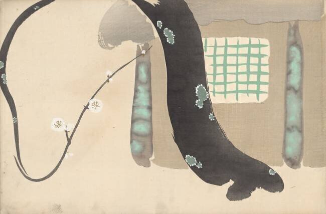 Pruimenboom Kamisaka Sekka