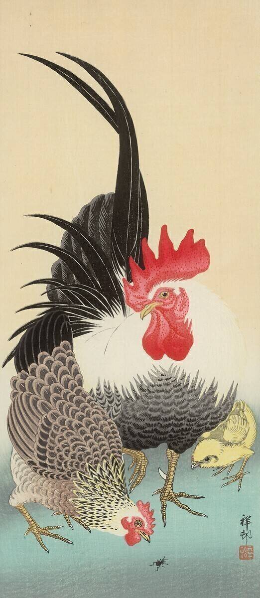 Rooster Ohara Koson
