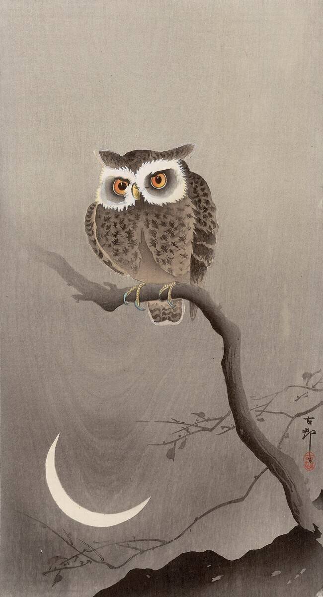 Scops owl on a branch with crescent moon Ohara Koson