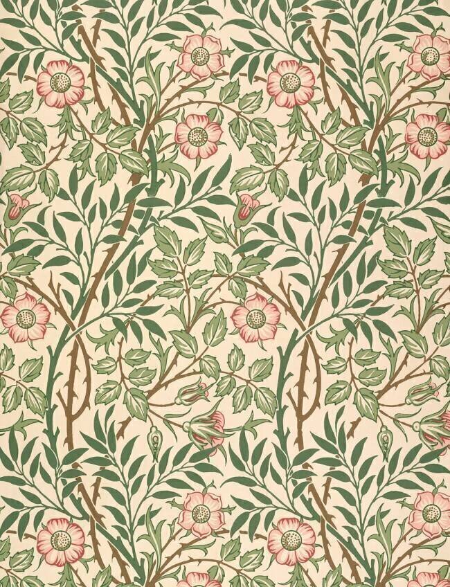 'Sweet Briar' design for wallpaper William Morris