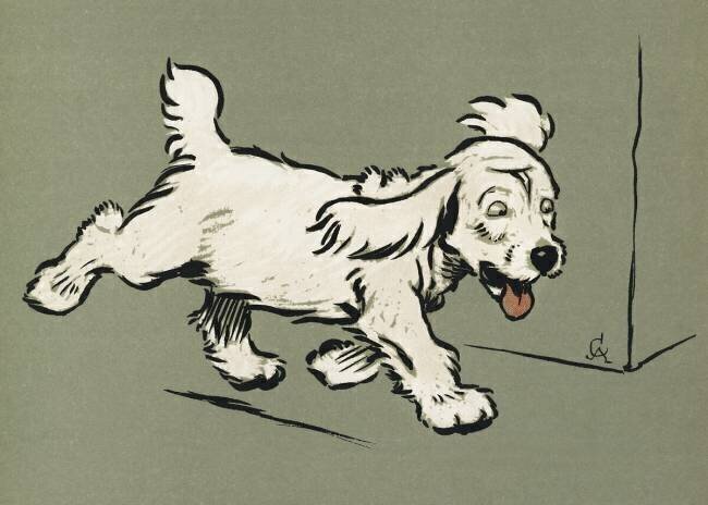 The White Puppy  Cecil Aldin