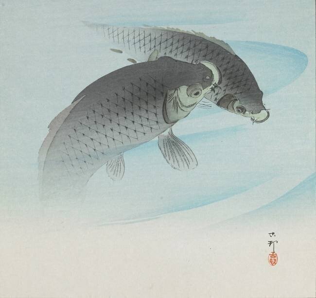 Two Carps Ohara Koson