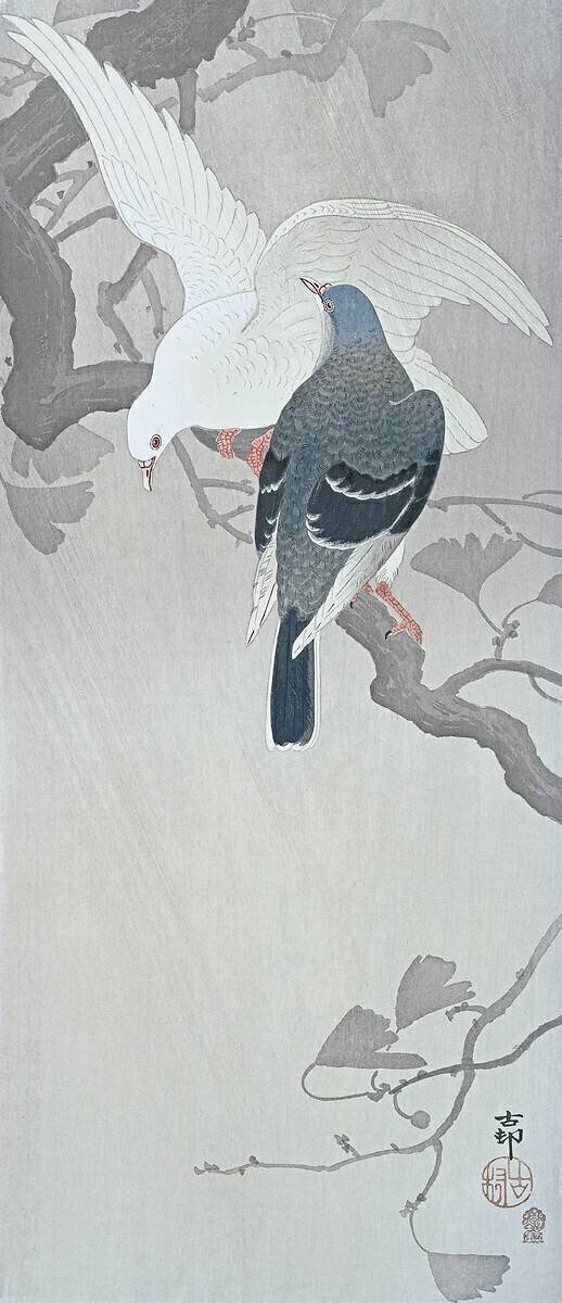 Two Doves in the rain on a branch of a Ginko tree Ohara Koson