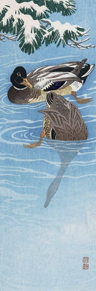 Two Wild Ducks in the Water Ohara Koson