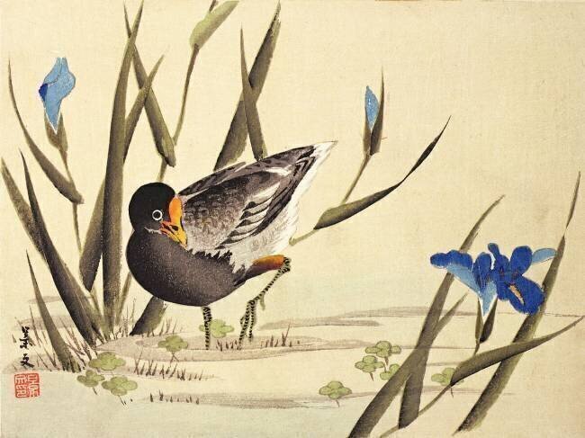 Wader amongst rushes Ohara Koson
