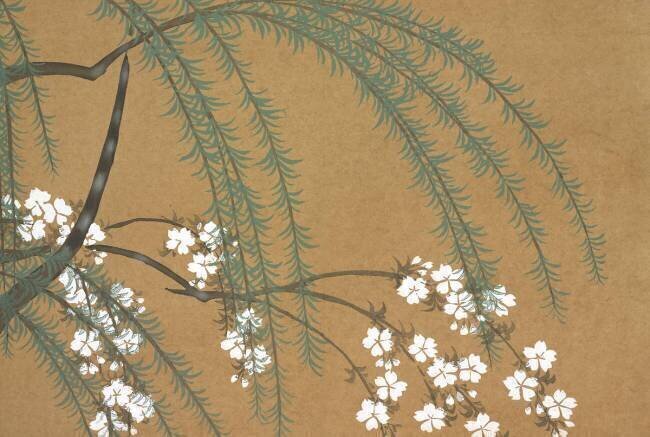 Yanagi Sakura Kamisaka Sekka