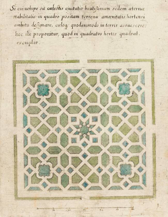 Modèle de parterre de jardin avec étoile anonymous