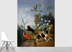 Les Chiens Zerbine et Jemite (Alexandre-François Desportes) - Muzeo.com