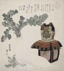 Armure et radis (Hokusai) - Muzeo.com