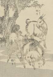 Chèvres (Hokusai) - Muzeo.com